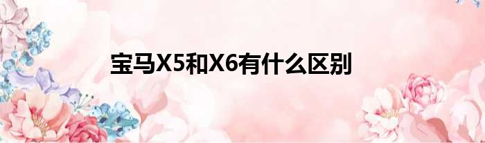 宝马X5和X6有什么区别