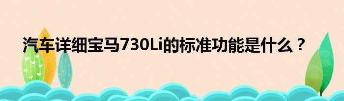 汽车详细宝马730Li的标准功能是什么？