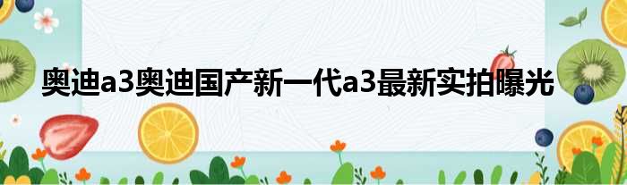 奥迪a3奥迪国产新一代a3最新实拍曝光