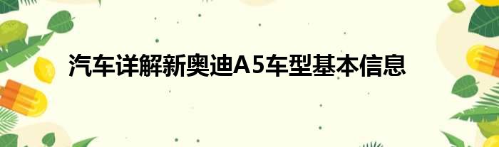 汽车详解新奥迪A5车型基本信息