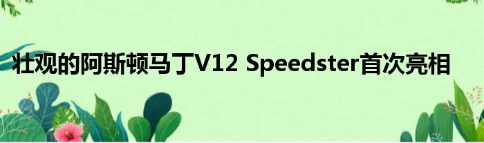 壮观的阿斯顿马丁V12 Speedster首次亮相