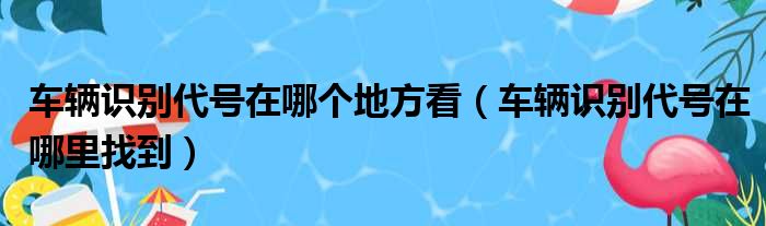 车辆识别代号在哪个地方看（车辆识别代号在哪里找到）