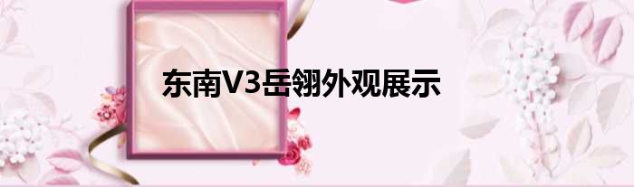 东南V3岳翎外观展示