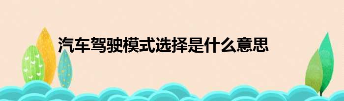 汽车驾驶模式选择是什么意思