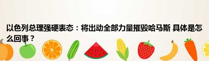 以色列总理强硬表态：将出动全部力量摧毁哈马斯 具体是怎么回事？