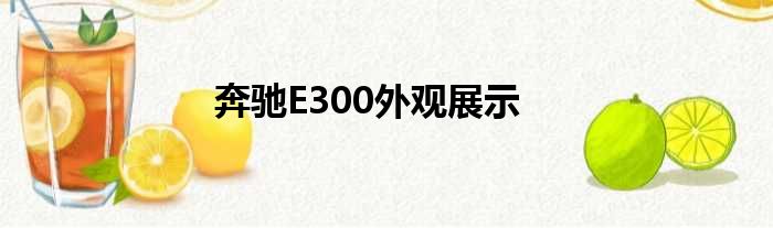 奔驰E300外观展示