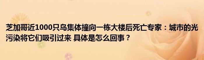 芝加哥近1000只鸟集体撞向一栋大楼后死亡专家：城市的光污染将它们吸引过来 具体是怎么回事？