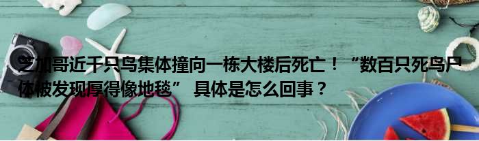 芝加哥近千只鸟集体撞向一栋大楼后死亡！“数百只死鸟尸体被发现厚得像地毯” 具体是怎么回事？