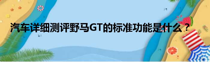 汽车详细测评野马GT的标准功能是什么？