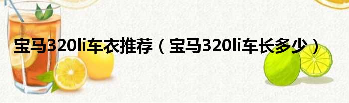 宝马320li车衣推荐（宝马320li车长多少）