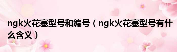 ngk火花塞型号和编号（ngk火花塞型号有什么含义）