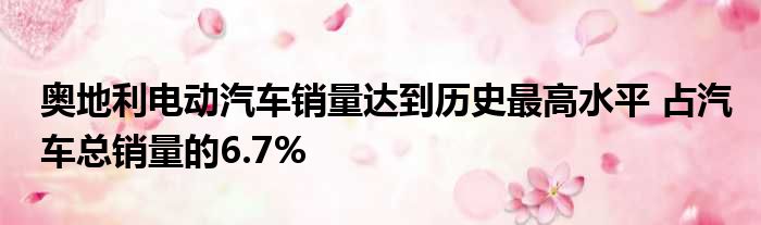 奥地利电动汽车销量达到历史最高水平 占汽车总销量的6.7%