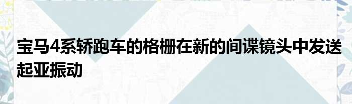 宝马4系轿跑车的格栅在新的间谍镜头中发送起亚振动