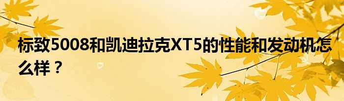 标致5008和凯迪拉克XT5的性能和发动机怎么样？