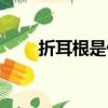 折耳根是什么味道（折耳根是什么）