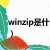 winzip是什么软件类型（winzip是什么软件）