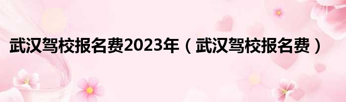 武汉驾校报名费2023年（武汉驾校报名费）