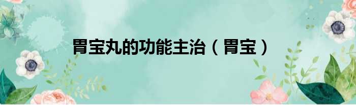 胃宝丸的功能主治（胃宝）