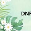 DNF计算器（dnf计算器）