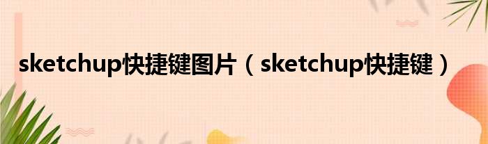 sketchup快捷键图片（sketchup快捷键）