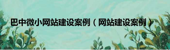 巴中微小网站建设案例（网站建设案例）