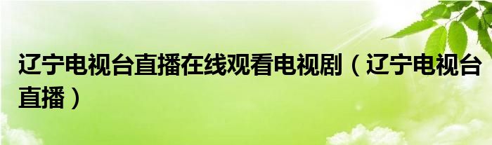 辽宁电视台直播在线观看电视剧（辽宁电视台直播）