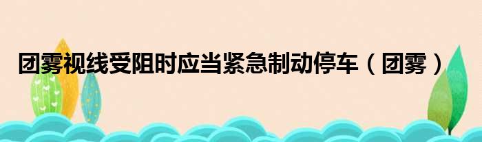 团雾视线受阻时应当紧急制动停车（团雾）