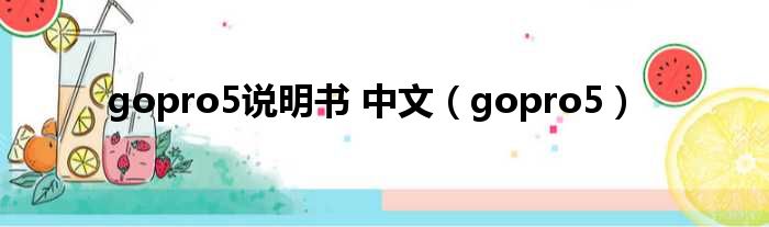 gopro5说明书 中文（gopro5）