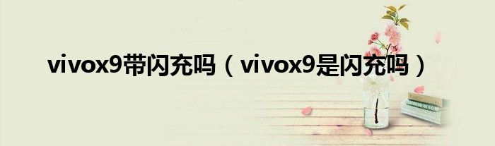 vivox9带闪充吗（vivox9是闪充吗）