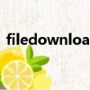 filedownloaderisrunning（yunfile下载）