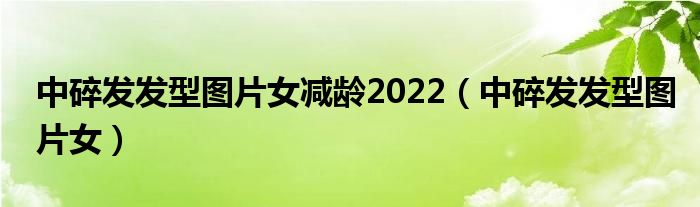 中碎发发型图片女减龄2022（中碎发发型图片女）