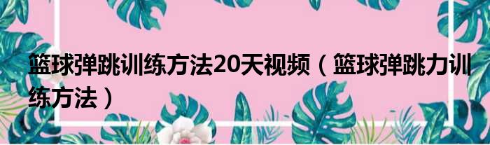 篮球弹跳训练方法20天视频（篮球弹跳力训练方法）