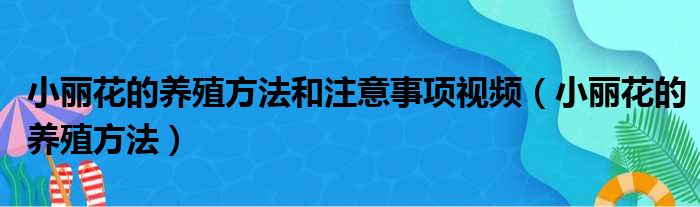 小丽花的养殖方法和注意事项视频（小丽花的养殖方法）