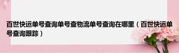 百世快运单号查询单号查物流单号查询在哪里（百世快运单号查询跟踪）