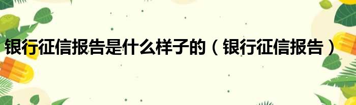 银行征信报告是什么样子的（银行征信报告）