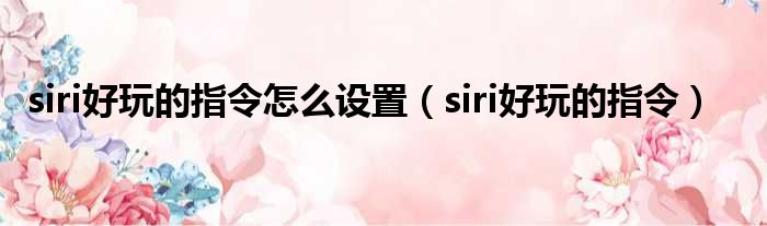 siri好玩的指令怎么设置（siri好玩的指令）