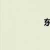 东风本田新思域召回