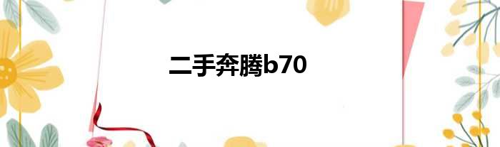 二手奔腾b70