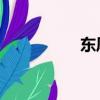 东风汽车股份有限公司