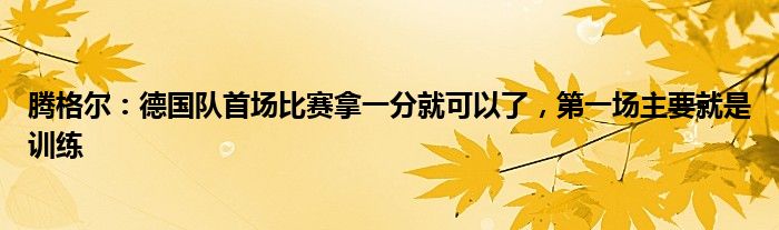 腾格尔：德国队首场比赛拿一分就可以了，第一场主要就是训练