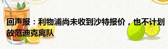 回声报：利物浦尚未收到沙特报价，也不计划放范迪克离队