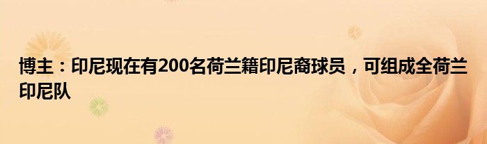 博主：印尼现在有200名荷兰籍印尼裔球员，可组成全荷兰印尼队