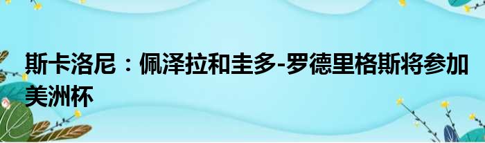 斯卡洛尼：佩泽拉和圭多-罗德里格斯将参加美洲杯