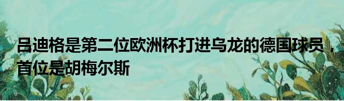 吕迪格是第二位欧洲杯打进乌龙的德国球员，首位是胡梅尔斯