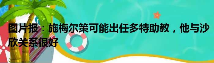 图片报：施梅尔策可能出任多特助教，他与沙欣关系很好