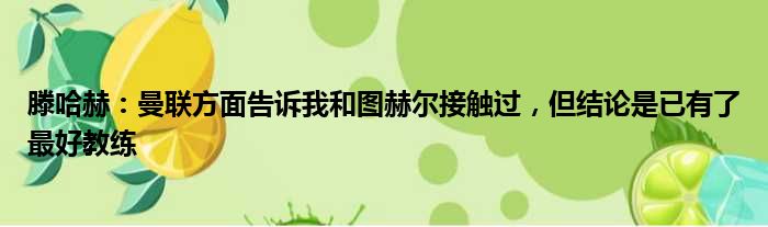 滕哈赫：曼联方面告诉我和图赫尔接触过，但结论是已有了最好教练