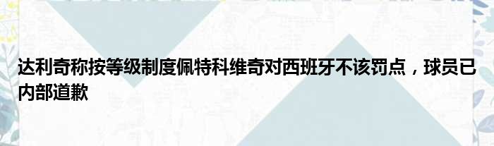 达利奇称按等级制度佩特科维奇对西班牙不该罚点，球员已内部道歉