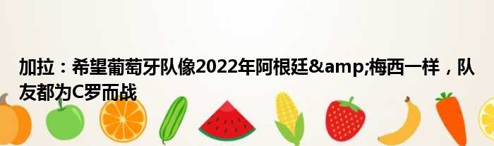 加拉：希望葡萄牙队像2022年阿根廷&梅西一样，队友都为C罗而战