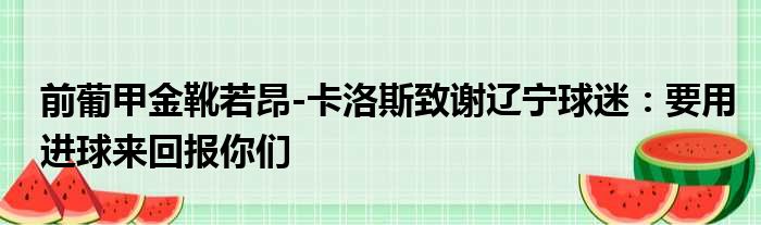 前葡甲金靴若昂-卡洛斯致谢辽宁球迷：要用进球来回报你们