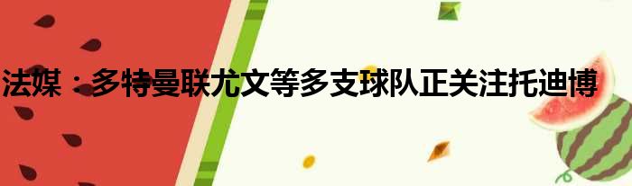 法媒：多特曼联尤文等多支球队正关注托迪博